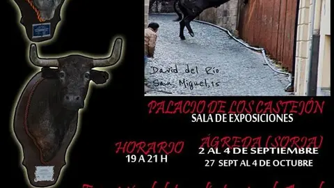 Cartel-&Aacute;greda-y-el-Toro.jpg
