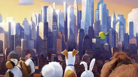 6-Mascotas-1172.jpg