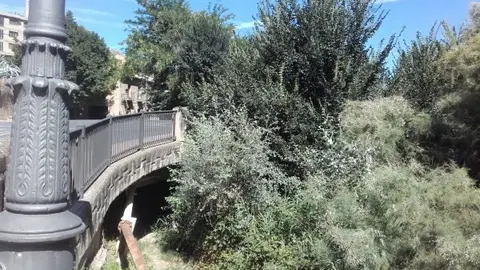 4-Los-&aacute;rboles-no-dejan-ver-el-puente-1177.jpg