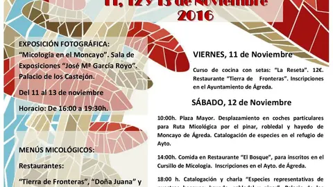II-Cartel-Jornadas-Micologicas-2016-page-001.jpg