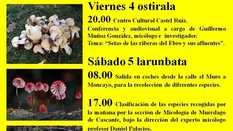 1-Cartel-jornadas-micol&oacute;gicas-de-Beterri-2016.jpg