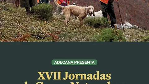 programa_XVII_jornadas2_alta-resolucion-1.jpg