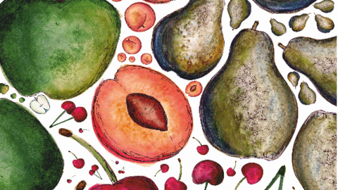 image005.png