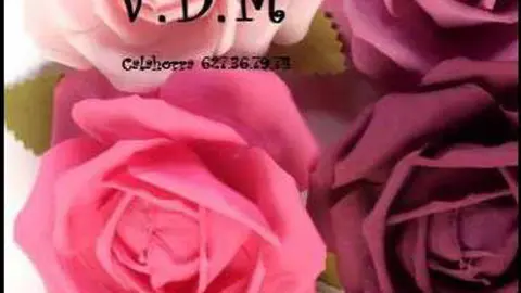 vdm.jpg