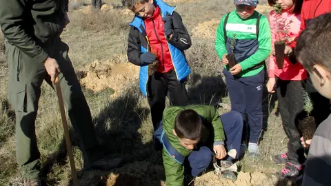 3-Jornada-de-Reforestaci&oacute;n-1188.jpg