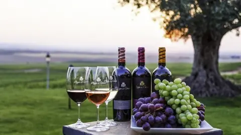 15-Pago-de-Cirsus-vinos-1097-1.jpg