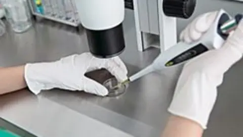 analisis_a.jpg