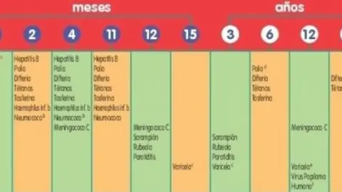 imagenes_CalendarioManoVacunasAragon2017-002_fcd87e86.jpg