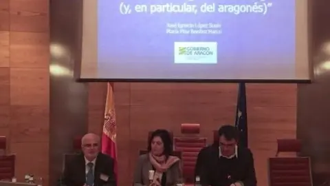 imagenes_senado_linguistica03_097d66b9.jpg