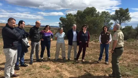 3-actuaci&oacute;n-de-Eder-en-los-pinares-1194.jpeg