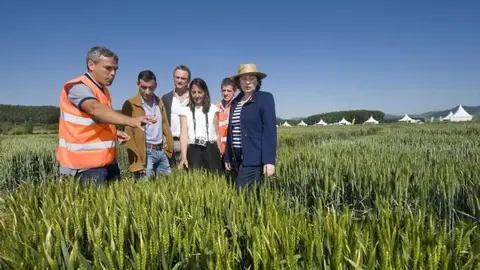 Agricultura1b.jpg