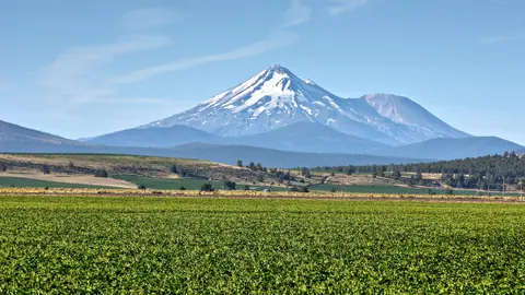 Vivero de Planasa en USA
