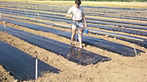 Agricultor