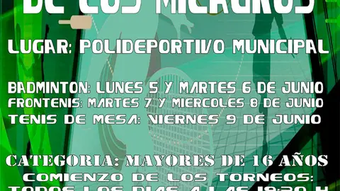 TORNEOS-DEPORTIVOS-VIRGEN-2017