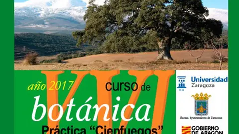 CartelBot&aacute;nica2017