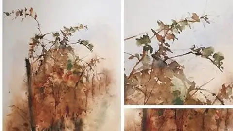 18835851_1911375042438269_1373876248892031826_n