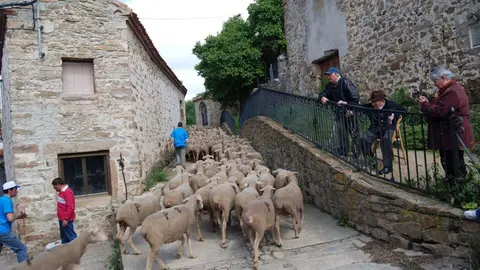 Se han preparado diversos paquetes tur&iacute;sticos desde 30 a los 109&euro;