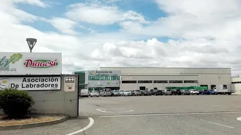 Estas inversiones ya se est&aacute;n llevando a cabo en la zona de cultivo