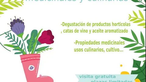 Plantas arom&aacute;ticas medicinales y culinarias en Pr&eacute;jano