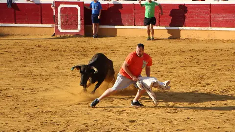 Suelta de vaquillas 28 julio 11