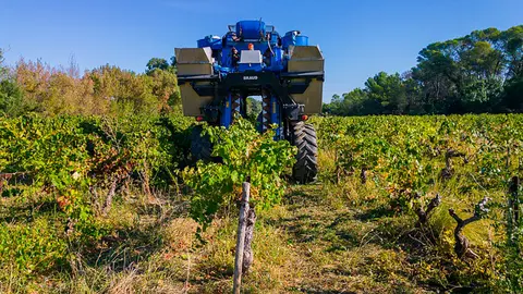 harvest-1682559_960_720