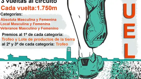 Carrera nocturna de Bu&ntilde;uel