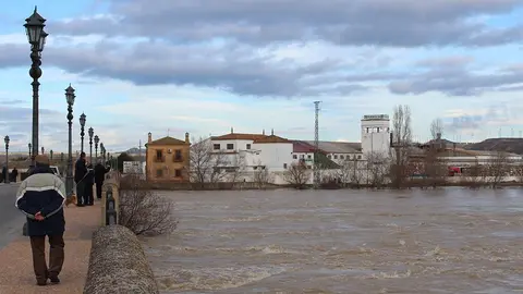 El Ebro, en &eacute;poca de crecida, muy diferente a su aspecto actual