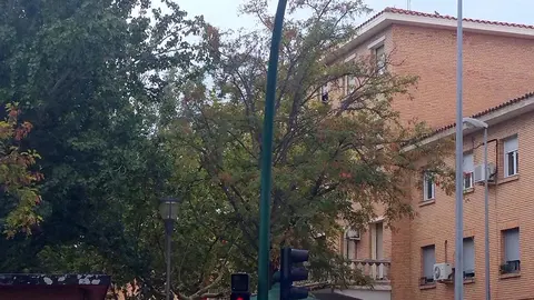 3 Sem&aacute;foro Tudela 1203
