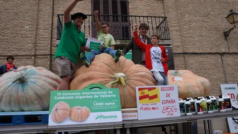 CALABAZAS 263