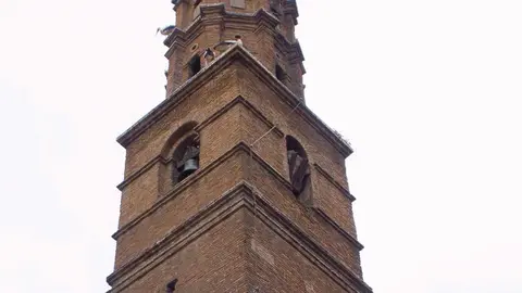 Tudela_-_Iglesia_de_San_Nicolas_de_Bari_3