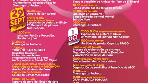 Fiestas de Rinc&oacute;n de Soto