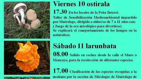 XIX Jornadas micol&oacute;gicas de la Pe&ntilde;a Beterri en Tudela