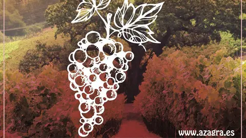 D&iacute;a del Vino de D.O. Rioja en Azagra