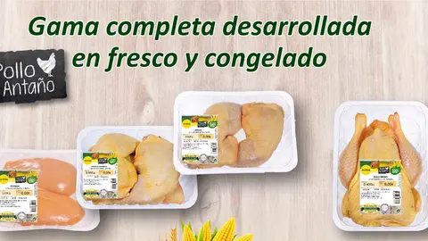 Uvesa-Nueva-Gama-Pollo-Anta&ntilde;o