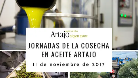 Jornadas de la Cosecha en Aceite Artajo