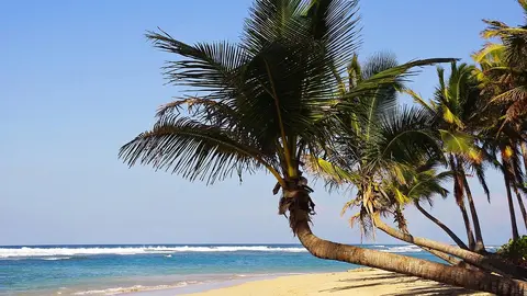 Punta Cana, un destino vacacional con mucho que ofrecer