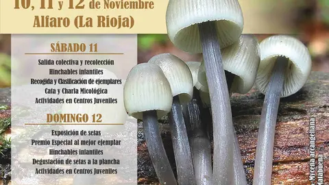 V Jornadas micol&oacute;gicas de Alfaro