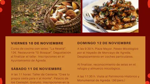 Jornadas Micol&oacute;gicas de &Aacute;greda y el Moncayo Soriano