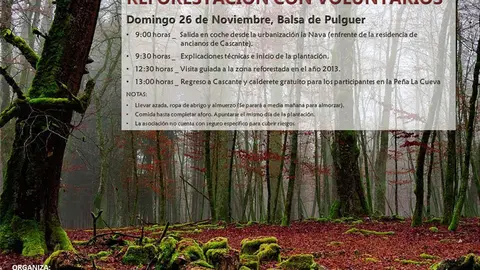 Reforestaci&oacute;n con voluntarios en Cascante