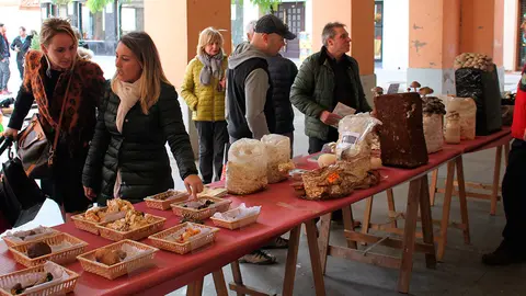 V Jornadas Micol&oacute;gicas de Alfaro