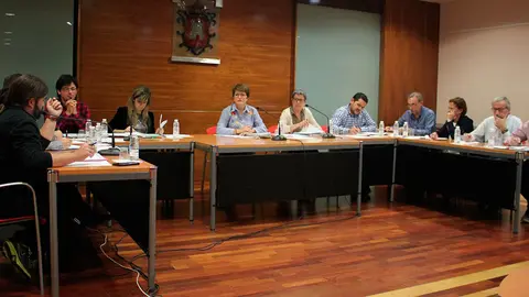 Pleno de Alfaro
