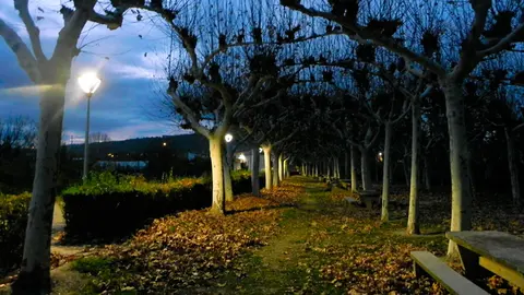 La nueva iluminaci&oacute;n con la que cuenta el parque del Barranco