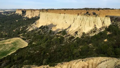Bardenasb