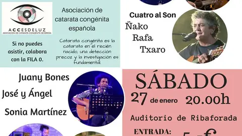 Concierto ben&eacute;fico en Ribaforada 'Acces de Luz'