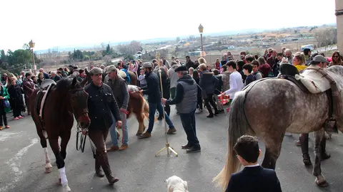 Varios caballos pasaron por la plaza del Ayuntamiento a recibir sus bendiciones