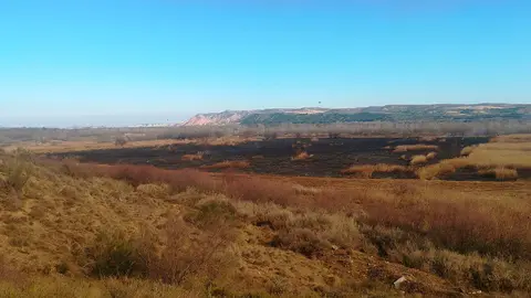 Fuego controlado llevado a cabo en el Enclave Natural del Soto de los Tetones de Tudela