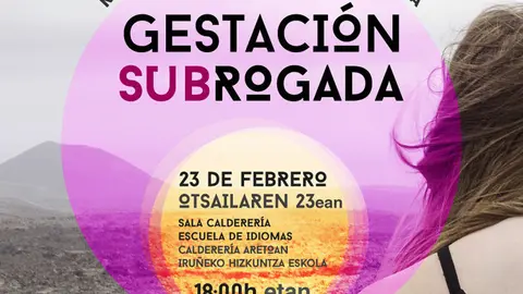 Conferencia en Pamplona 'Gestaci&oacute;n subrogada'