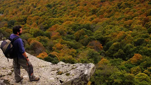 El Hayedo del Moncayo Fotograf&iacute;a de Eduardo Vi&ntilde;uales