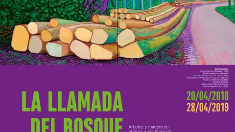 Exposici&oacute;n 'La llamada del bosque' del Museo W&uuml;rth La Rioja