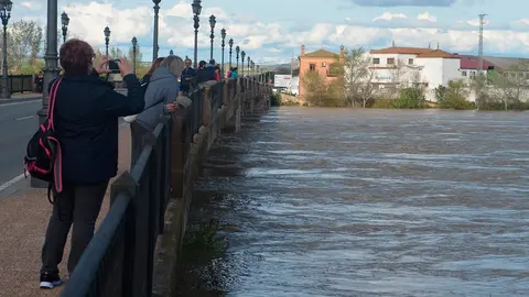 Crecida del Ebro (Tudela, 12-04-2018) - 10